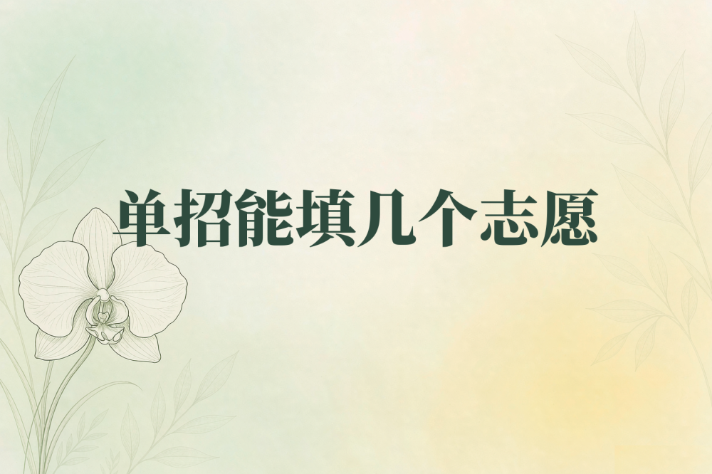 2027年湖南单招可以填几个志愿？