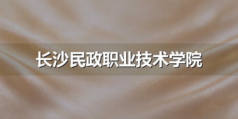 长沙民政职业技术学院专业组数据